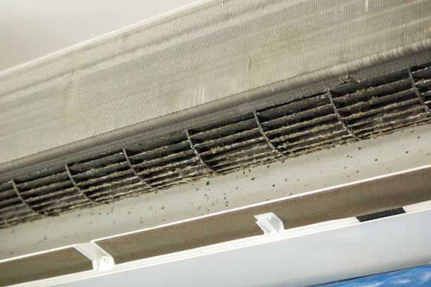 Best Professional Duct Cleaning Services  in Levittown, PA